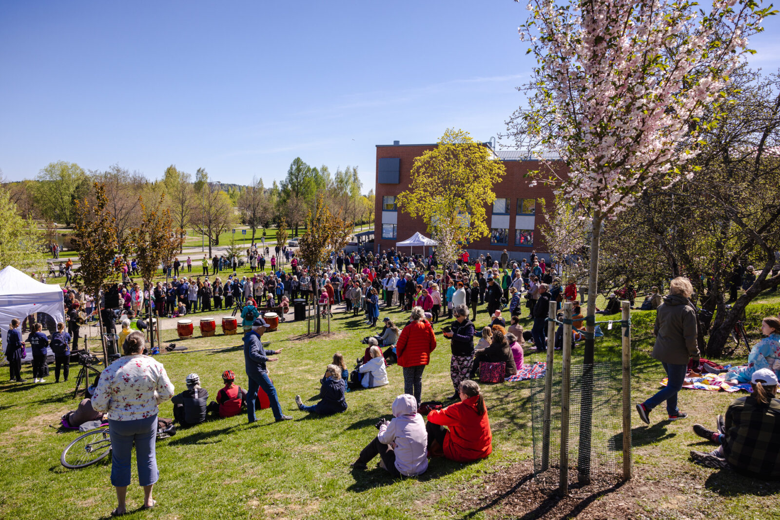 kirsikkapuiston avajaiset