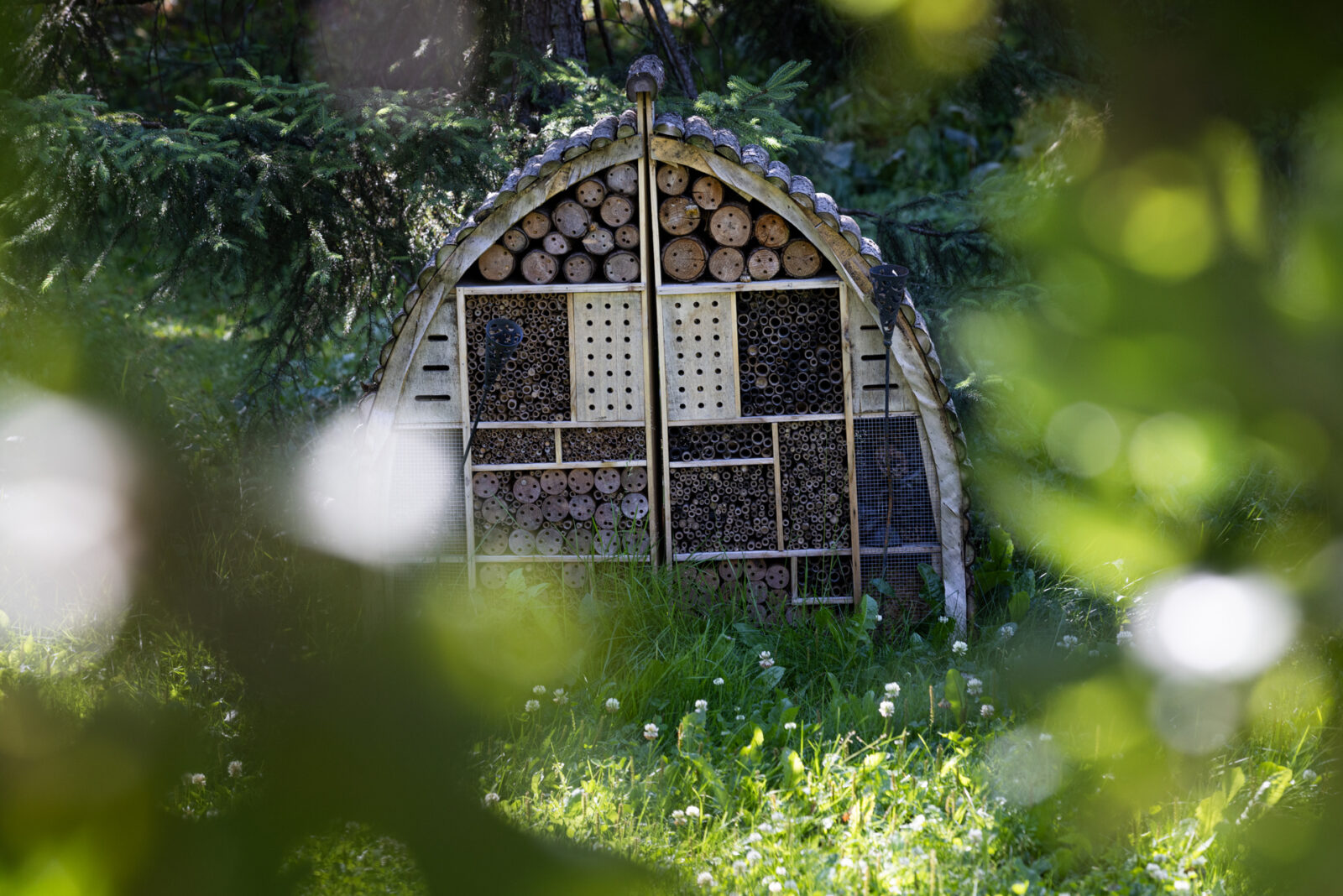 Hyönteishotelli vihreässä auringon läikittämässä maisemassa