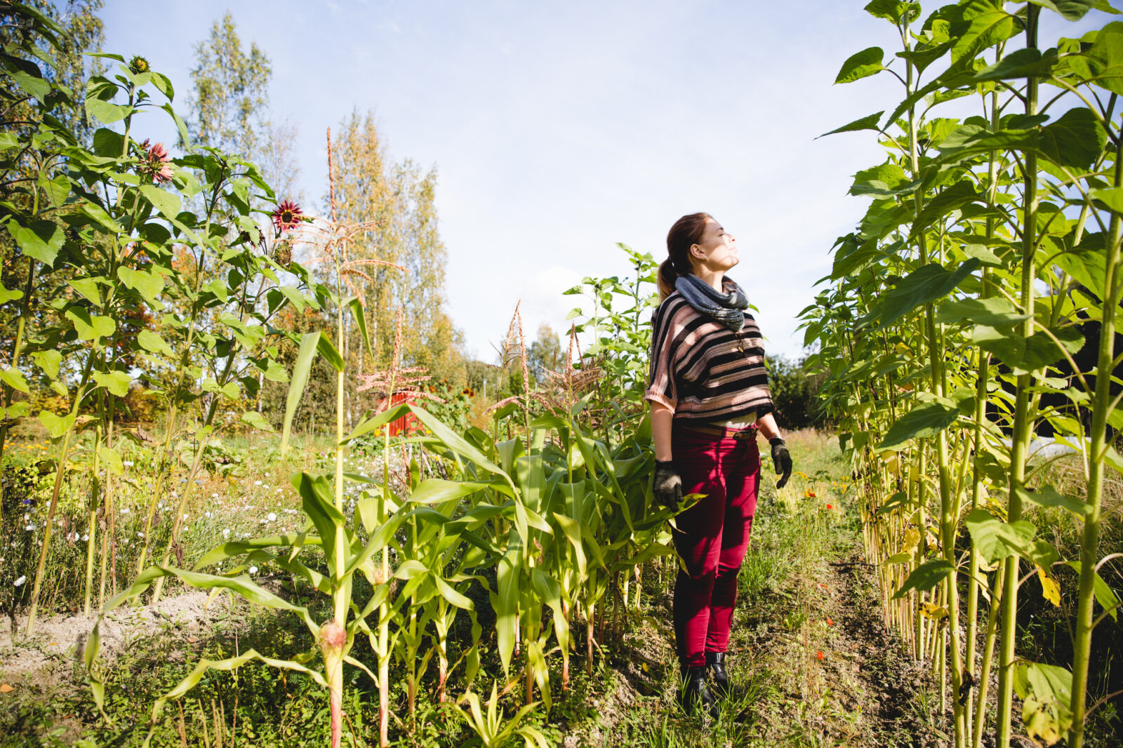 Henkilö seisoo palstaviljely alueella.