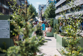 Lanunaukion minitervesmetsä toi luonnon hyvät vaikutukset kaupunkilaisten ulottuville tuomalla Lanunaukiolle keskustaan runsaasti vihreitä kasveja ja istumapaikkoja