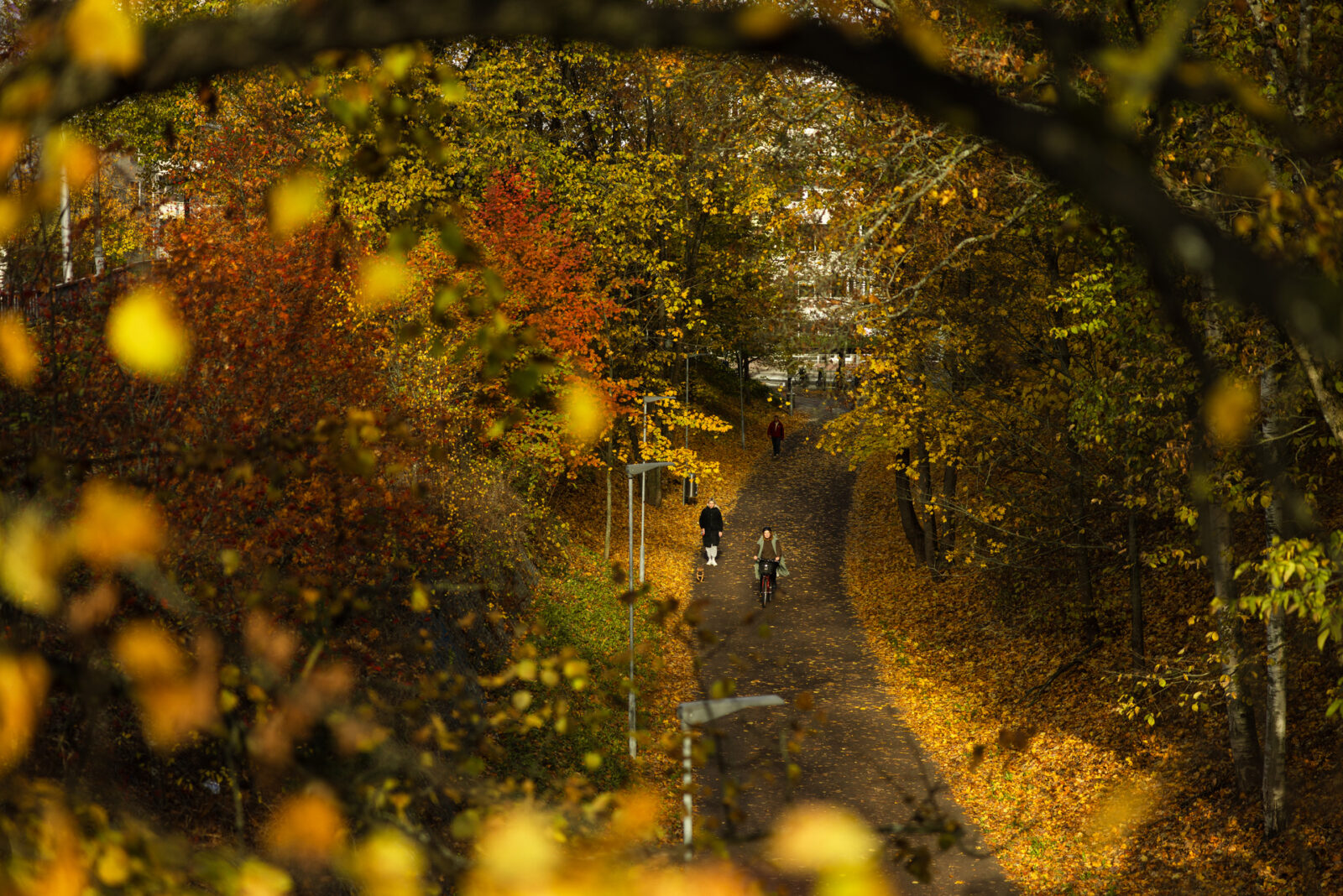 Syksyisessä kuvassa näkyy ylhäältä päin kuvattuna vehreä reitti, joka kulkee vanhaa radanpohjaa kohti keskustaa. Tiellä kulkee kävelijöitä ja pyöräilijöitä.