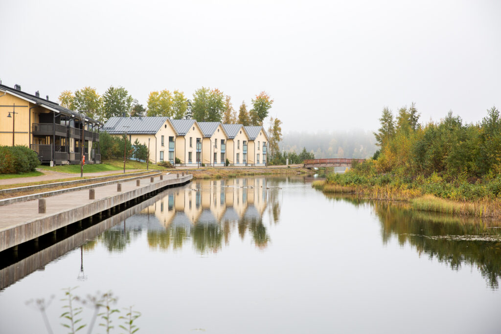 Kivipuron hulevesialue, jonka taustalla näkyy taloja.