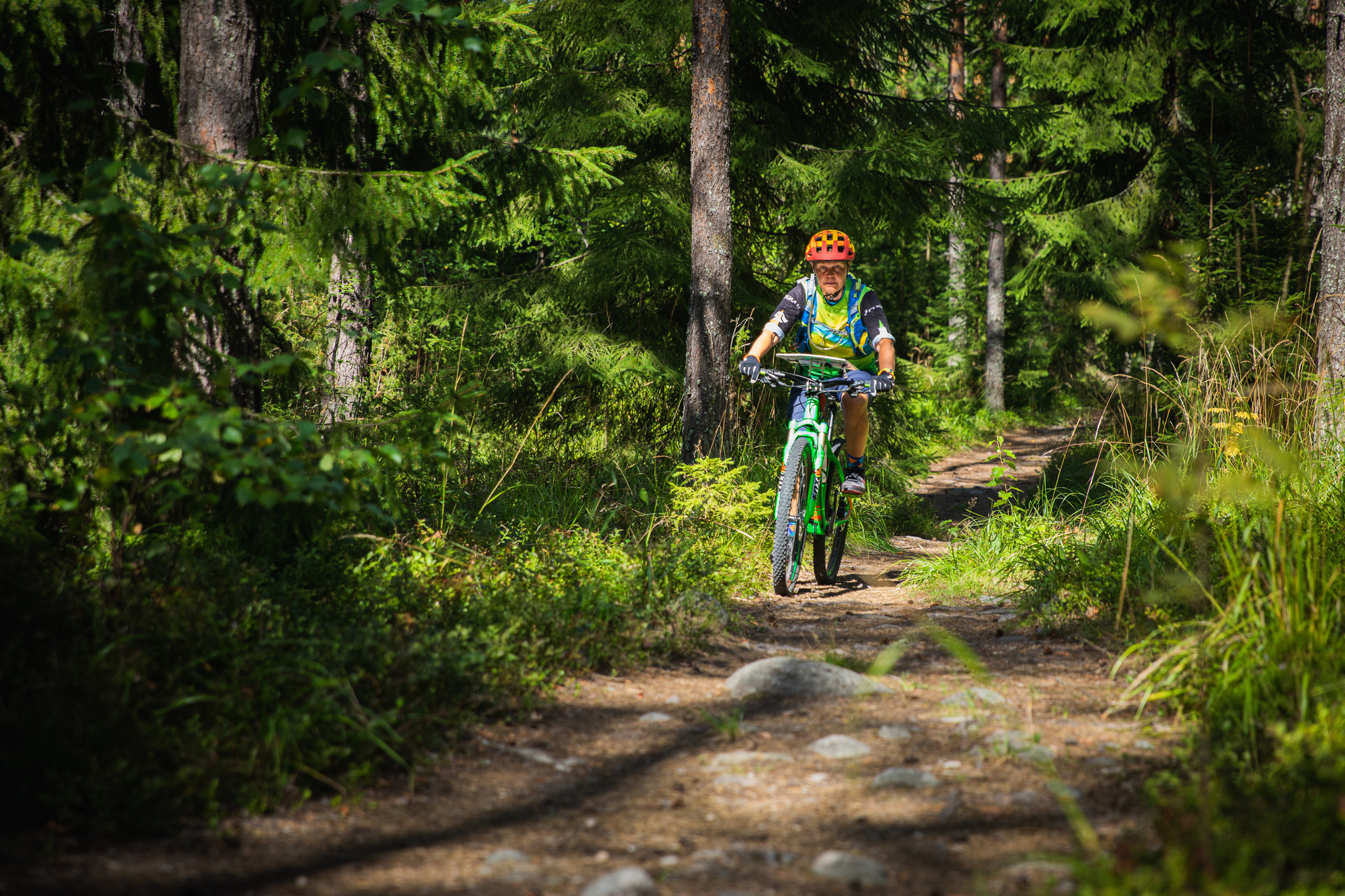 Discover Salpausselkä this summer with the new and improved outdoor map ...