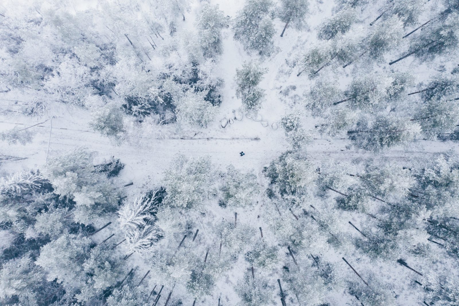 Kuvassa Renkomäen sorakuopan alueen ulkoilureitistöä, jotka ovatkin yksi alueen kehityskohteista.