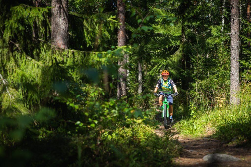 Kuvituskuva metsäsisestä polusta ja maastopyöräilijästä.