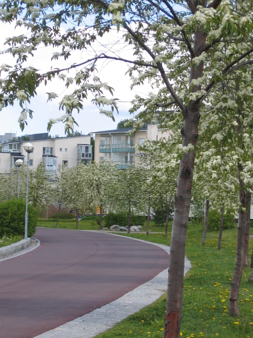 Asukkaat nestiv t Kirsikkapuiston Lahteen Lahti