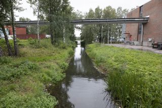 Joutjoki virtaa Niemen arkkitehtuurikilpailun suunnittelualueen läpi.