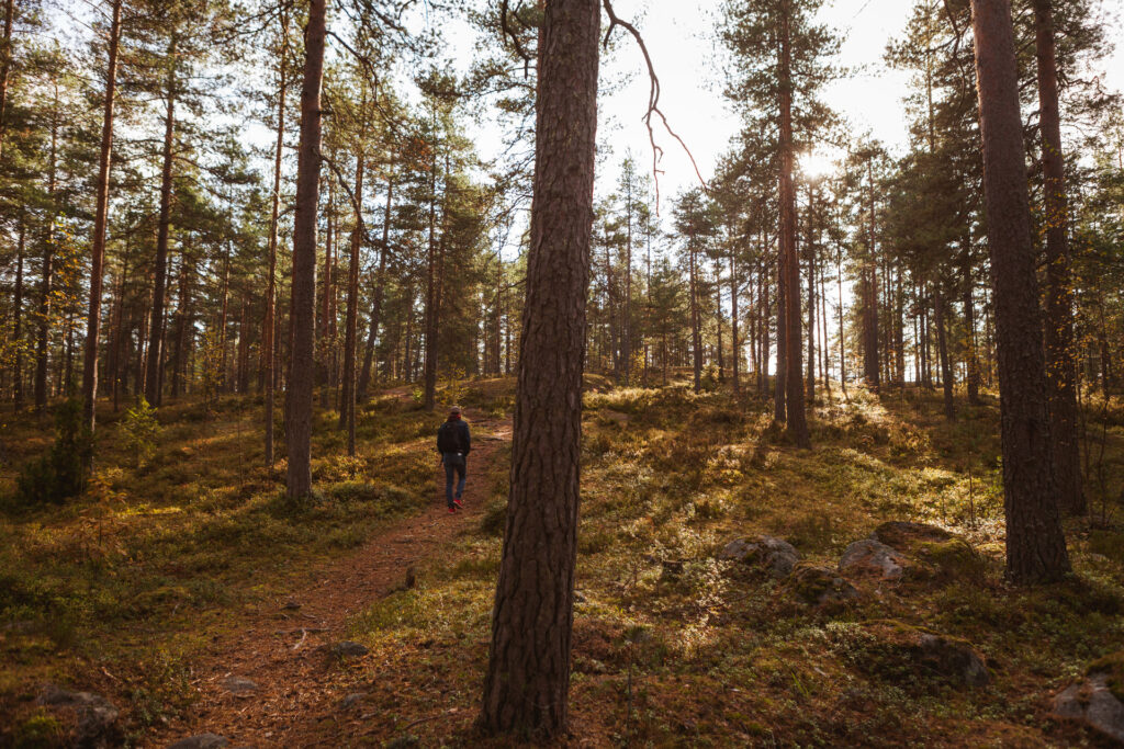 Henkilö kävelee metsäpolulla syksyisessä metsässä.