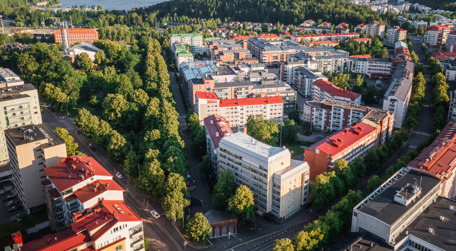 Puisto ja kerrostaloja ilmasta kuvattuna.