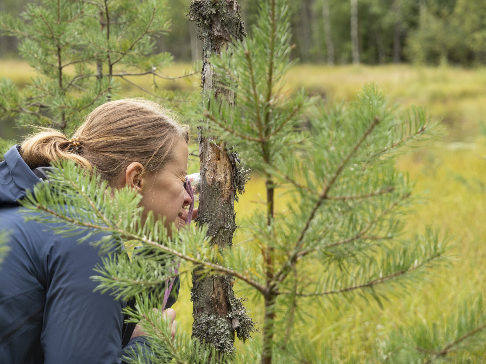 Nainen tarkastelee puun runkoa suurennuslasilla.