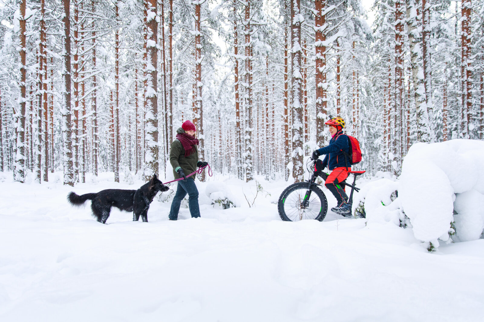 Koiran ulkoiluttaja ja maastopyöräilijä kohtaavat talvella lumisella maastoliikuntapolulla
