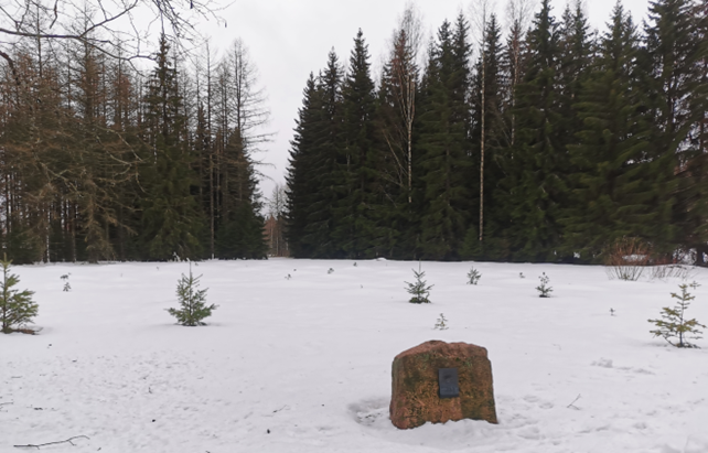 Itsenäisyydenpuisto, 100-vuotiaan Suomen kunniaksi istutetut muistopuut.