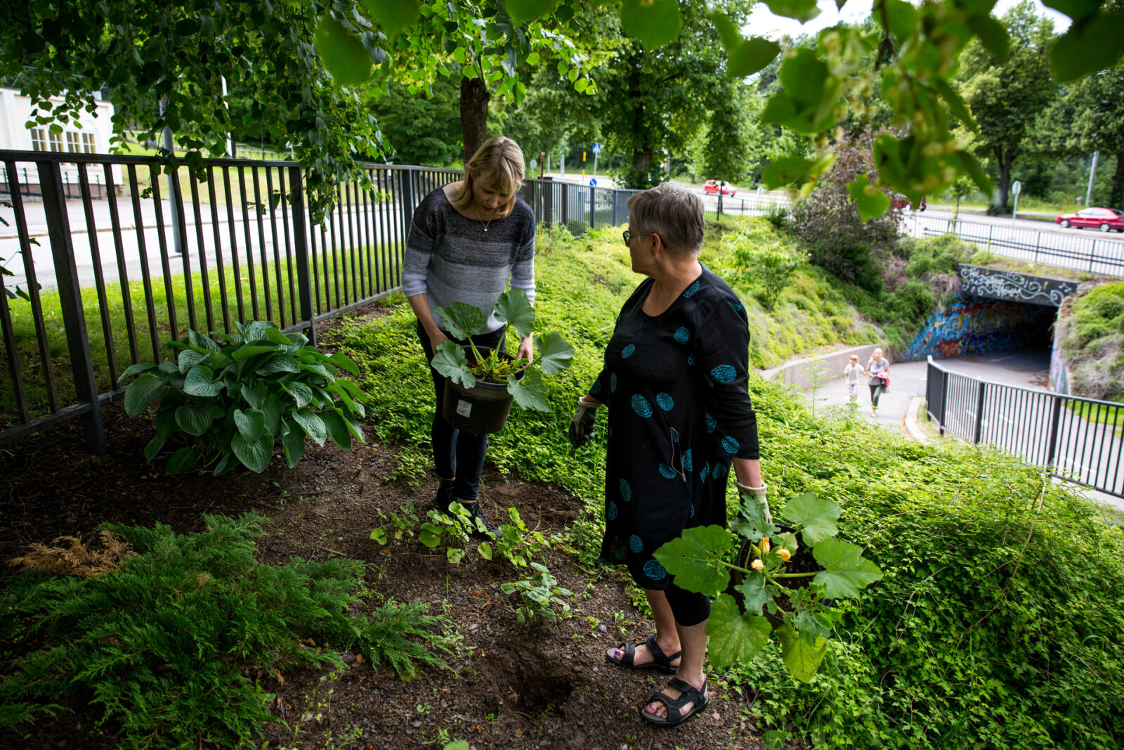 Kaksi naista istuttamassa kasveja kaupunkiympärsitöön