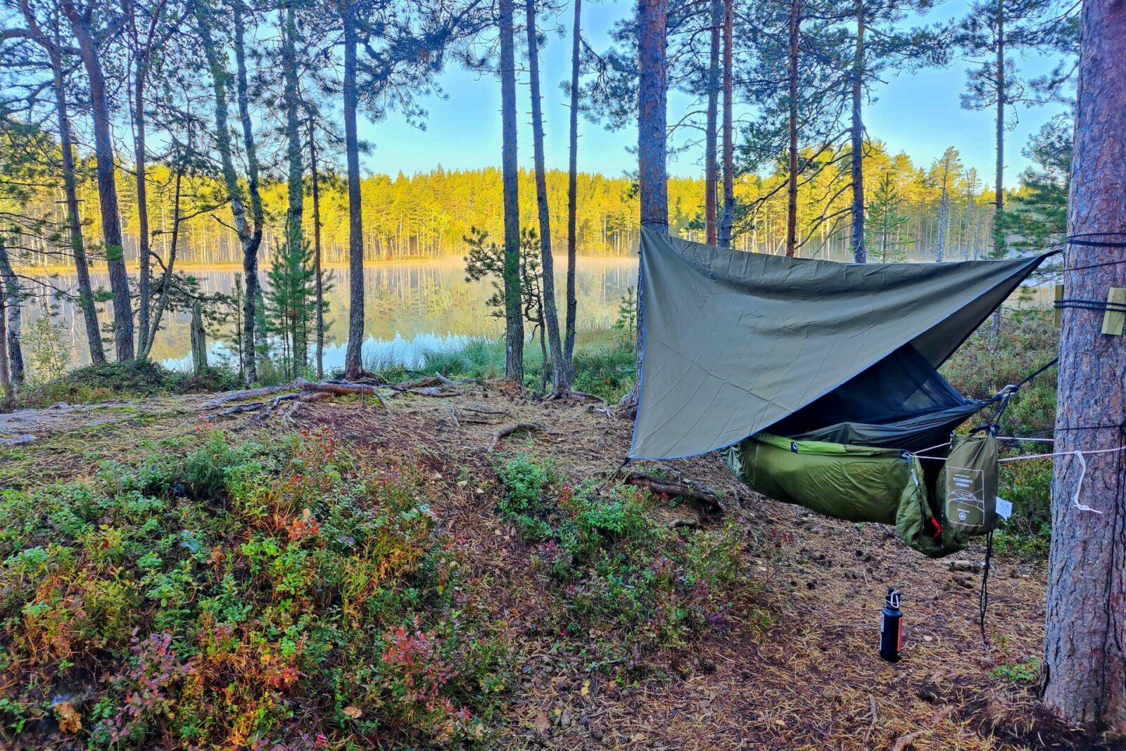 Riippukeinu syksyisessä luonnossa