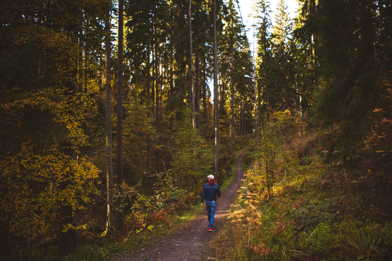 Retkeilijä metsäpolulla