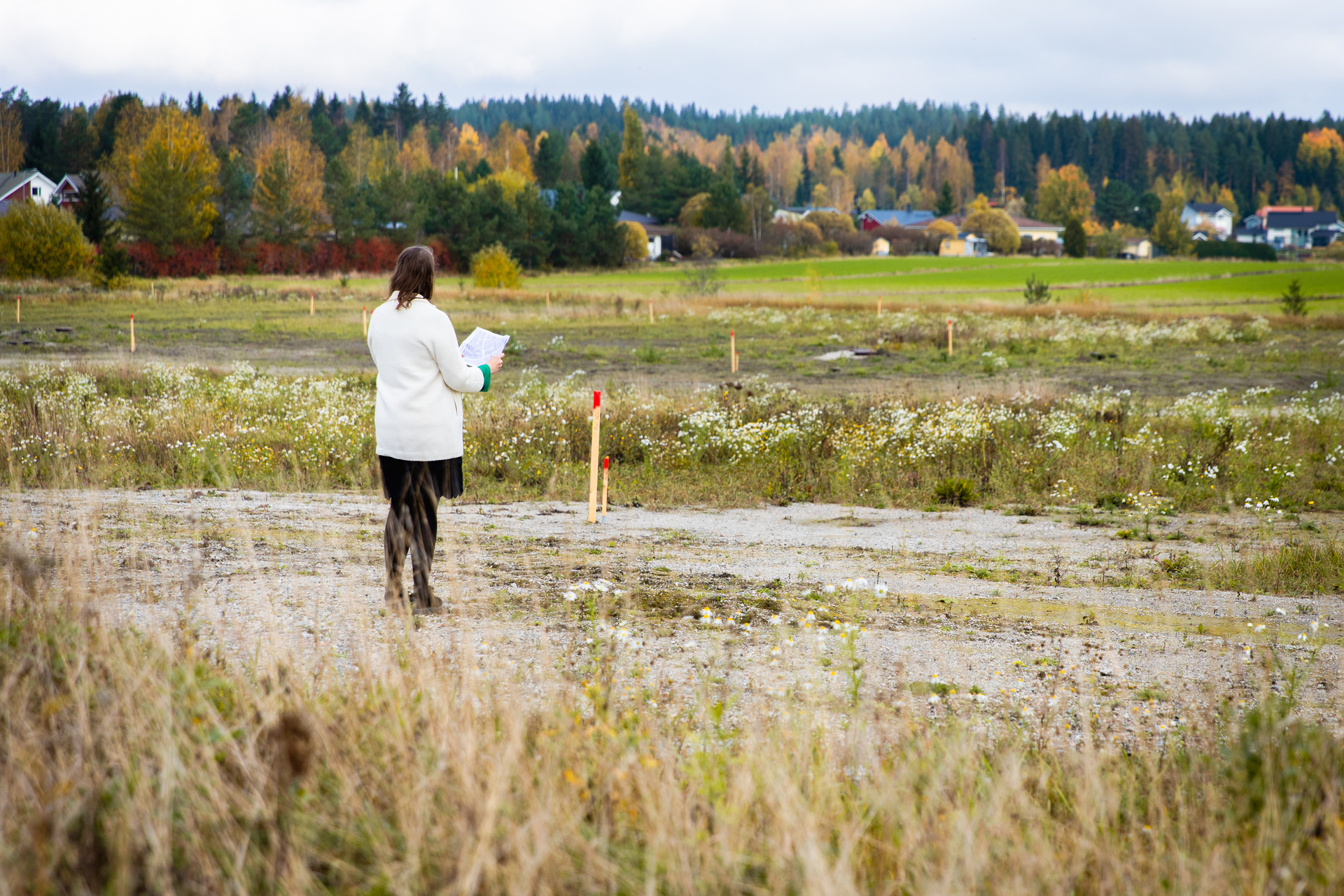 Take a look at the new allocation principles for private plots - Lahti