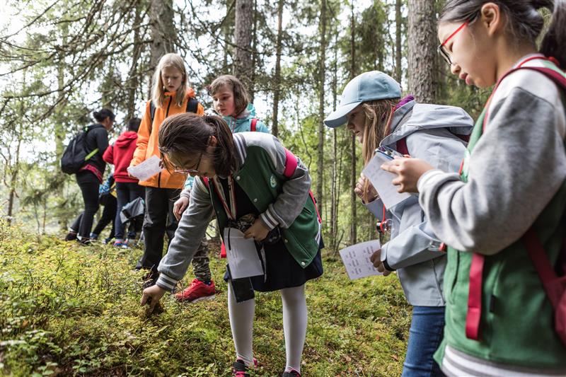 lapsia metsässä