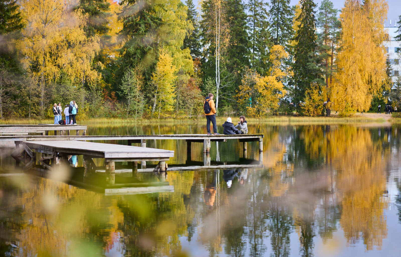 Järvimaisema
